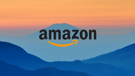 The Impact of Amazon Logistics for New Competitors
